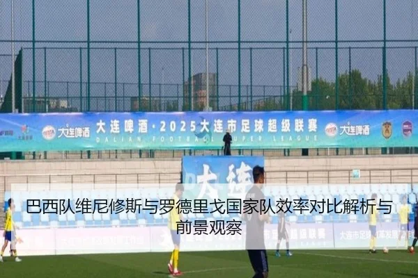 巴西队维尼修斯与罗德里戈国家队效率对比解析与前景观察