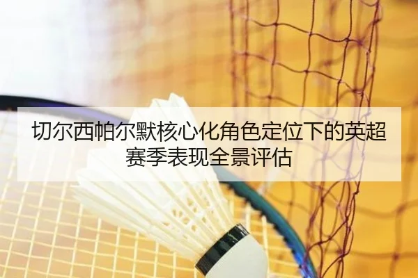 切尔西帕尔默核心化角色定位下的英超赛季表现全景评估